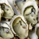 are oysters low carb